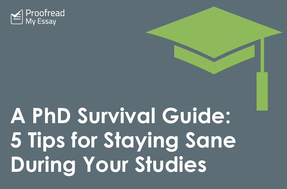 A PhD Survival Guide: Staying Sane During Your Studies