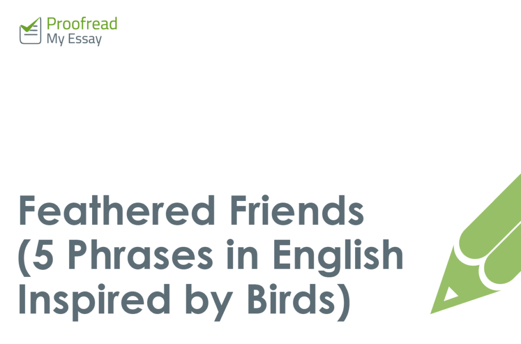 Five Phrases Inspired by Birds