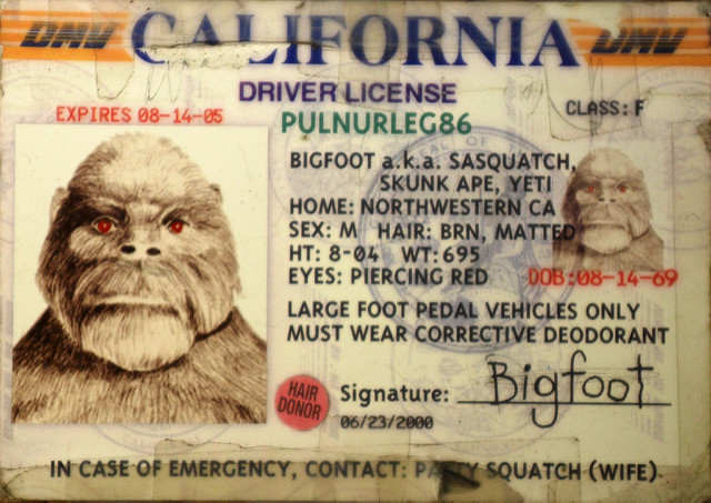 If the photo didn't convince you, maybe seeing his driving licence will? (Photo: Redwood Coast/flickr)
