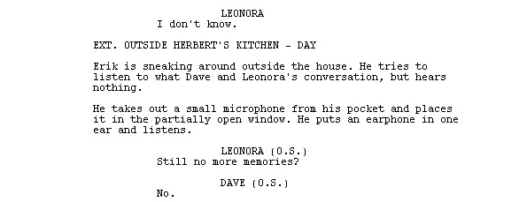 Action lines in a screenplay.