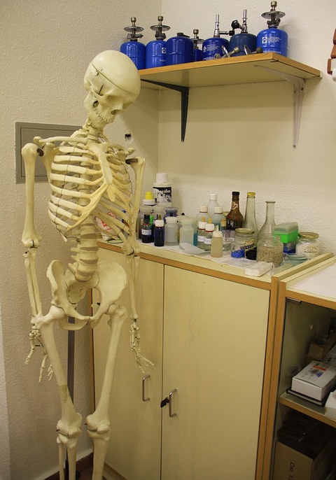 Just hanging out in the lab, doing some experiments.