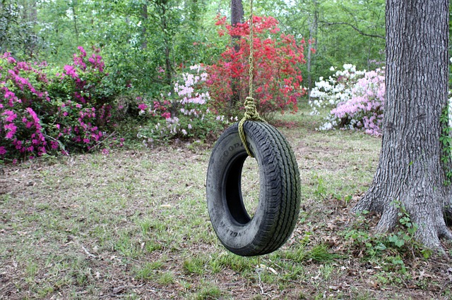 Tyre Swing