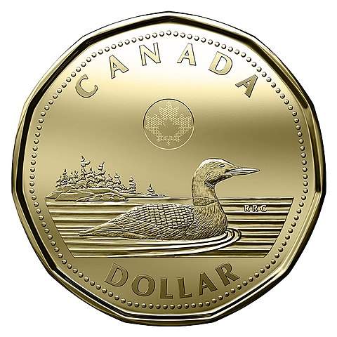 A loon on a loonie.