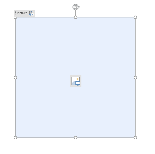 A blank Picture Control field.
