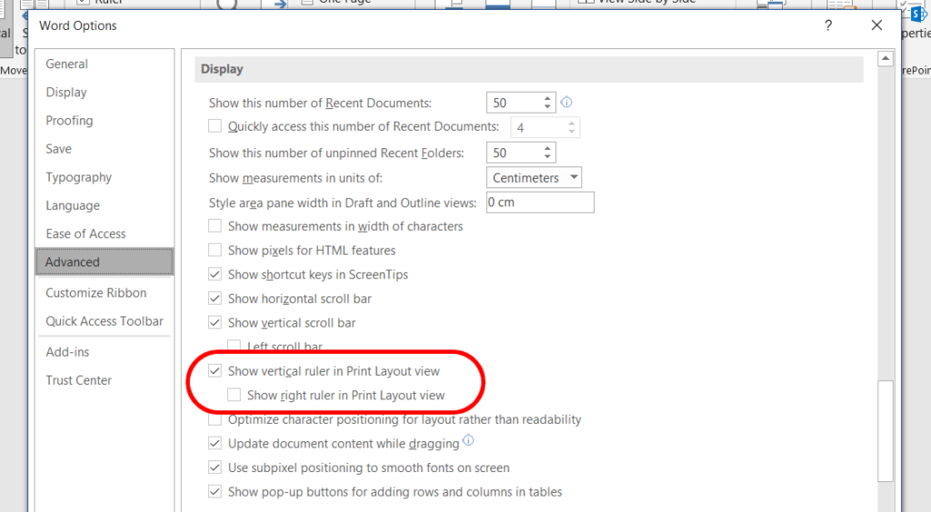 Ruler display options in MS Word for Windows.