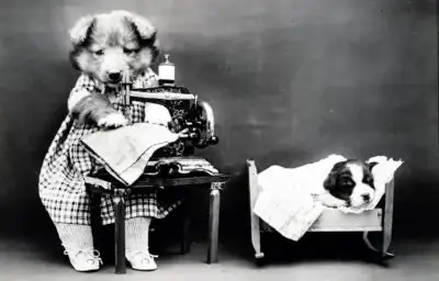 The dog on the left represents the productivity of maturity, while the guy on the right symbolises the inertia of youth.